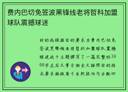 费内巴切免签波黑锋线老将哲科加盟球队震撼球迷